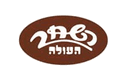 השחר העולה